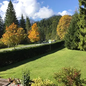 Apartment Alpine Blue, Griesen